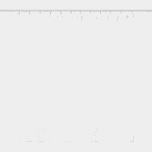 Custom Shower Curtain